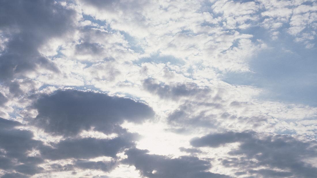 کشت مجدد گندم پس از یک سال کمبار/ نگاه بوشهریها به آسمان است