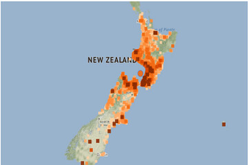 Magnitude 6.1 earthquake hits Kāpiti Coast in New Zealand