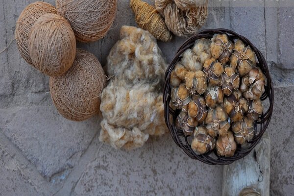 پنبه مله خراسان جنوبی در راه جیاس جهانی/میراثی در حال فراموشی