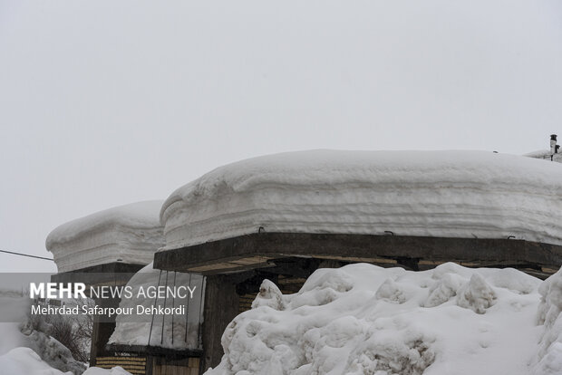 «کوهرنگ» مدفون در برف
