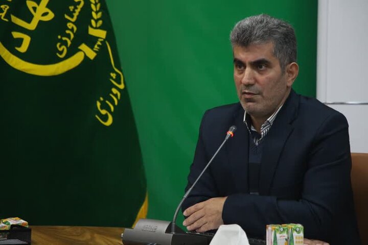 تنظیم بازار مرغ گیلان در اولویت است