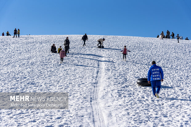 فریدون شهر عروس طبیعت اصفهان / پونهزار در گوش انسان نجوا میکند