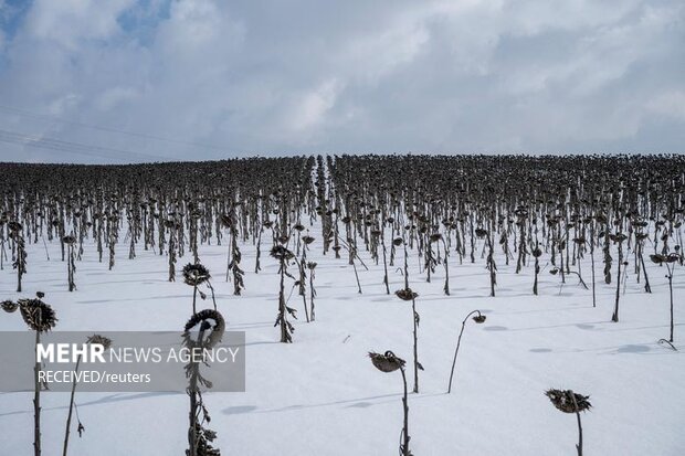 در این گزارش عکس های منتخب در سراسر جهان در یک هفته گذشته را می بینید