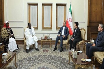 Iran has no restrictions on expansion of ties with Africa