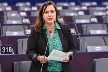 رژیم صهیونیستی مانع ورود نماینده پارلمان اروپا به فلسطین اشغالی شد
