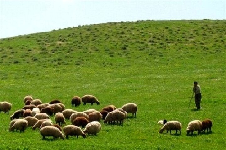 333 هکتار از عرصههای منابع طبیعی رفع تصرف شد