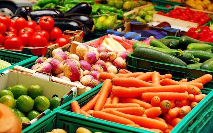 امسال تولیدات باغبانی کشور به 25 میلیون و 700 هزار تن رسید