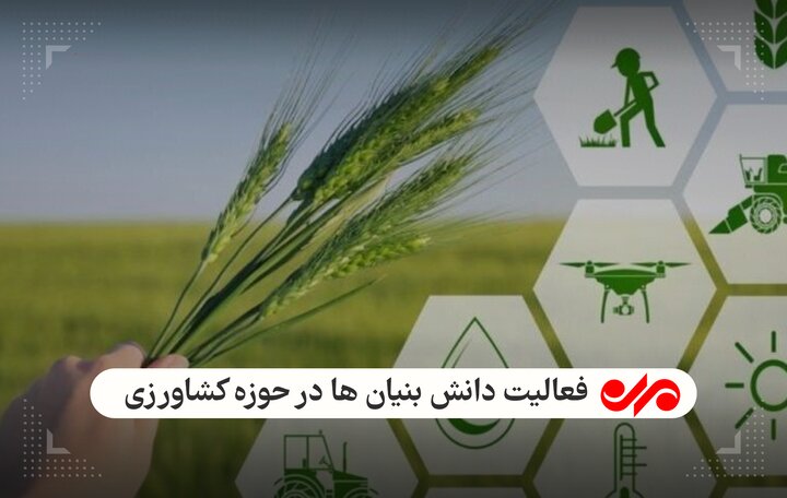 توسعه دانش بنیانها بدون برنامه / نیازسنجی حلقه ای مفقوده