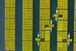 عکس های منتخب هفته سایت آتلانتیک