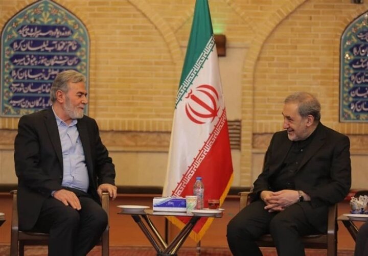 Iran to continue to support Palestinian nation, Resistance