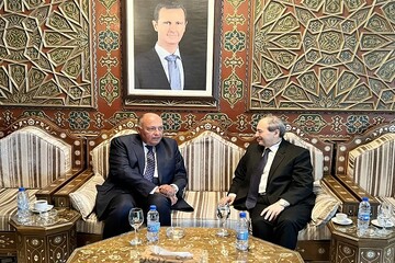 وزیر خارجه مصر به دمشق سفر کرد