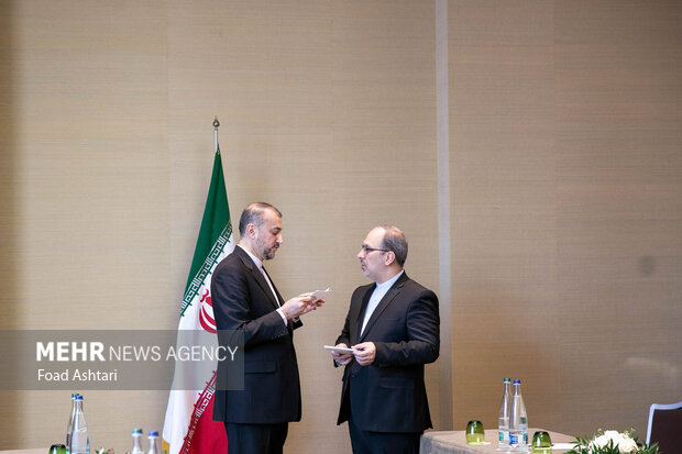 دیدار حاجا لحبیب وزیر خارجه امور خارجه بلژیک با وزیر امور خارجه ایران