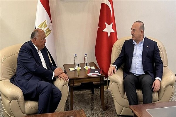 دیدار وزیران خارجه مصر و ترکیه 