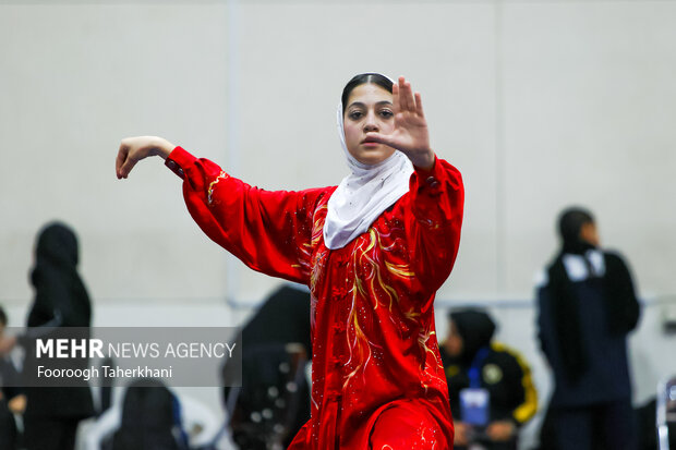 ایران کی 15ویں ویمنز ووشو پریمیئر لیگ
