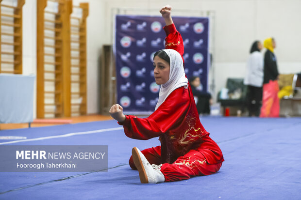 ایران کی 15ویں ویمنز ووشو پریمیئر لیگ
