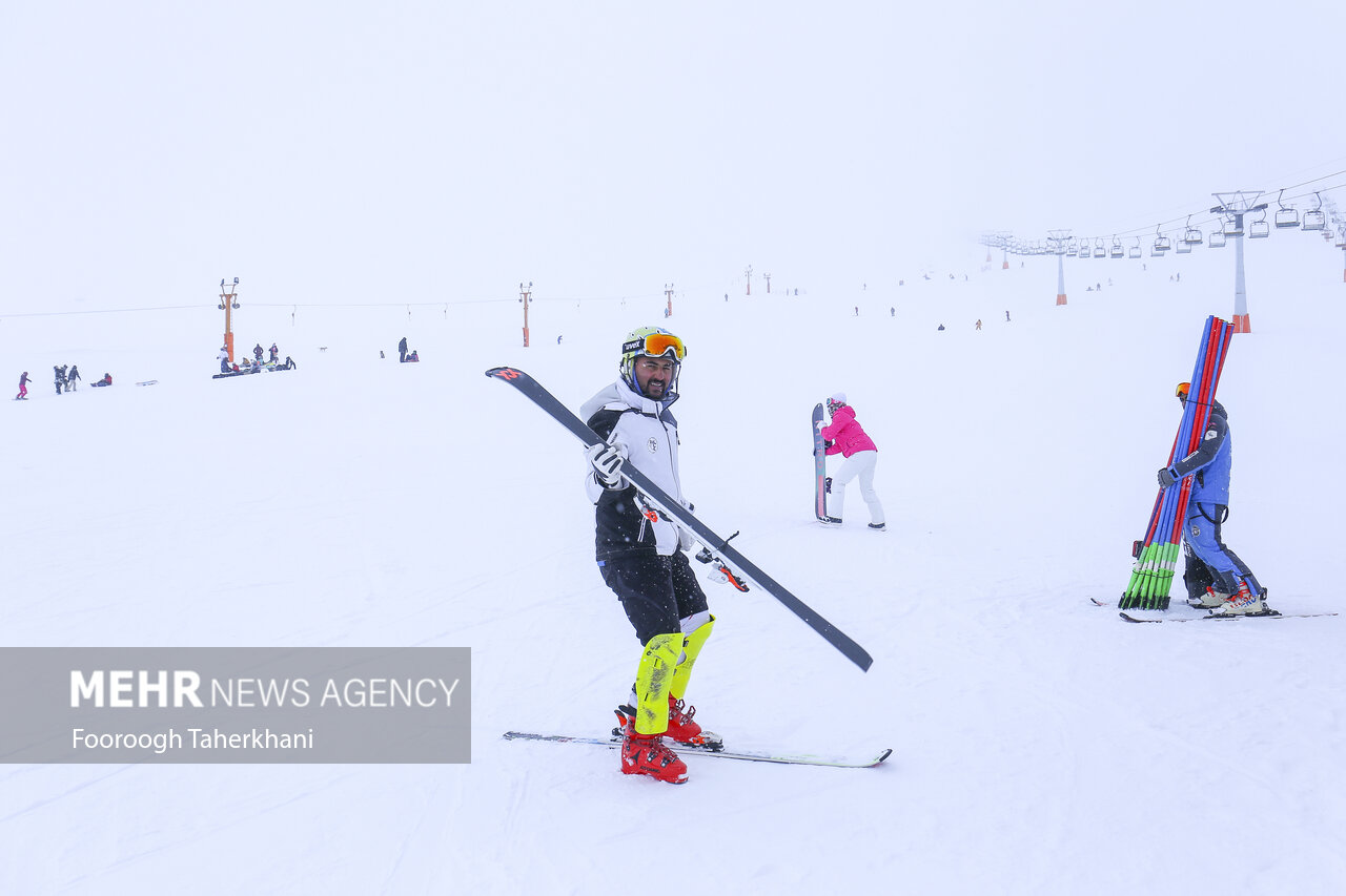 دست خالی مازندران از گردشگری در زمستان/ درناهای عاشق رفتند!