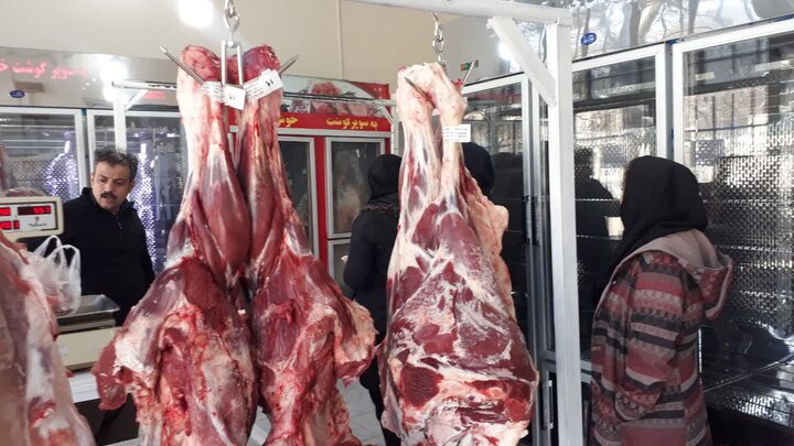 تداوم تامین گوشت قرمز و مرغ منجمد در نمایشگاه‌های استان قزوین