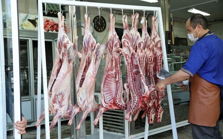 توزیع ۹۶ تن گوشت قرمز گوساله گرم تنظیم بازاری در استان قزوین