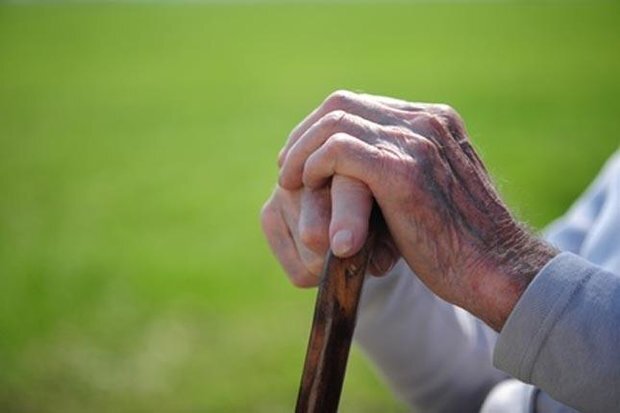 ۵۸ درصد جمعیت کرمانشاه را افراد سالمند و میانسال تشکیل می‌دهند