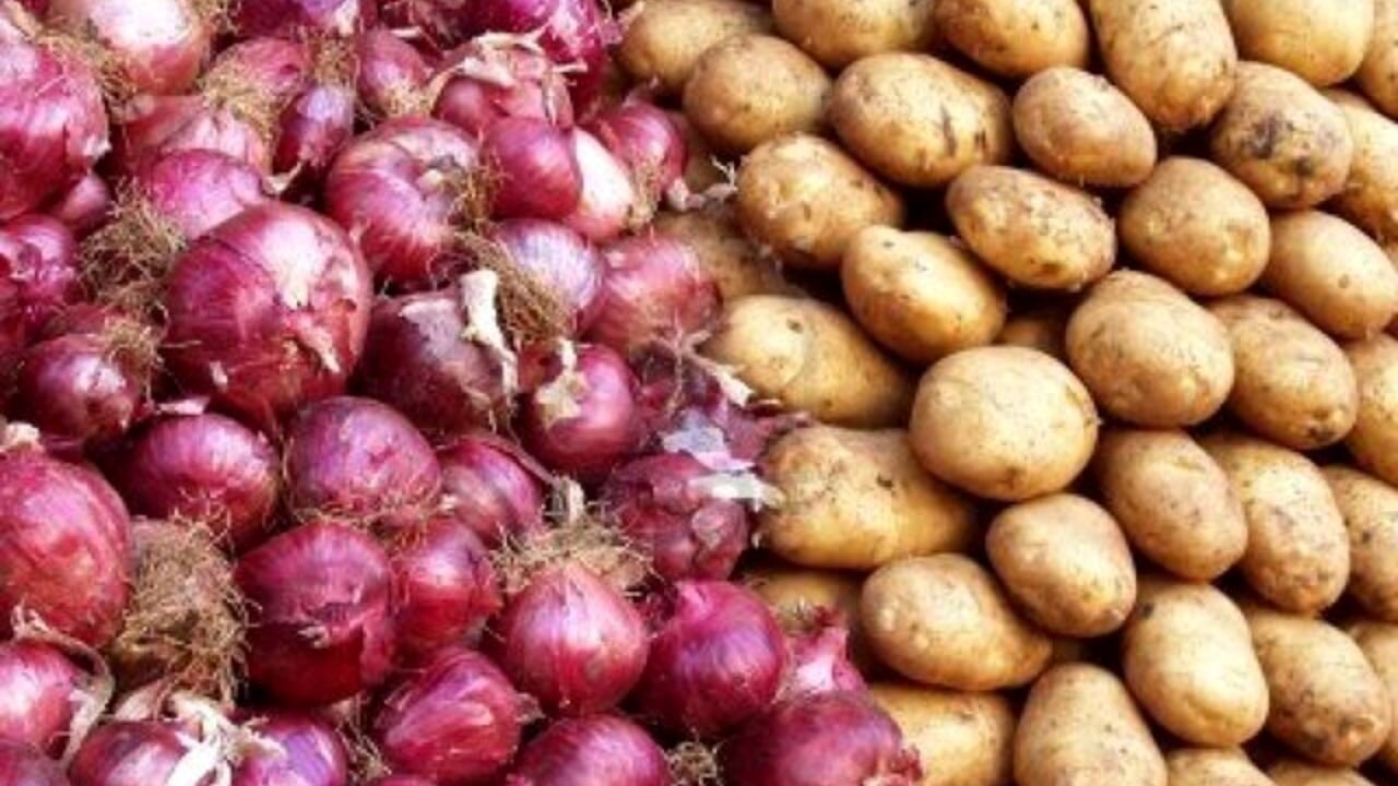 خرید توافقی، قیمت سیبزمینی و پیاز را در مزارع تثبیت کرد خرید توافقی، قیمت سیبزمینی و پیاز را در مزارع تثبیت کرد