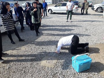 آزادی یک محکوم به قصاص پس از ۱۱ سال حبس در آمل