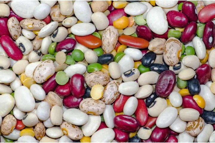 توزیع بیش از 1000 تن حبوبات در کشور