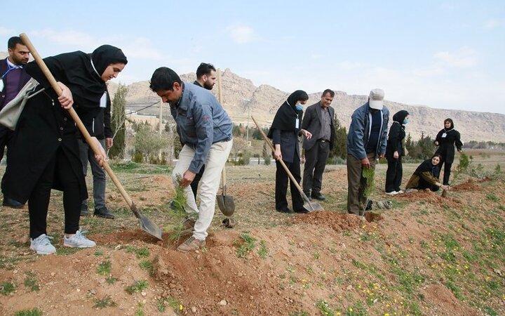 کاشت نهال در پارک گونههای بومی دانشگاه لرستان