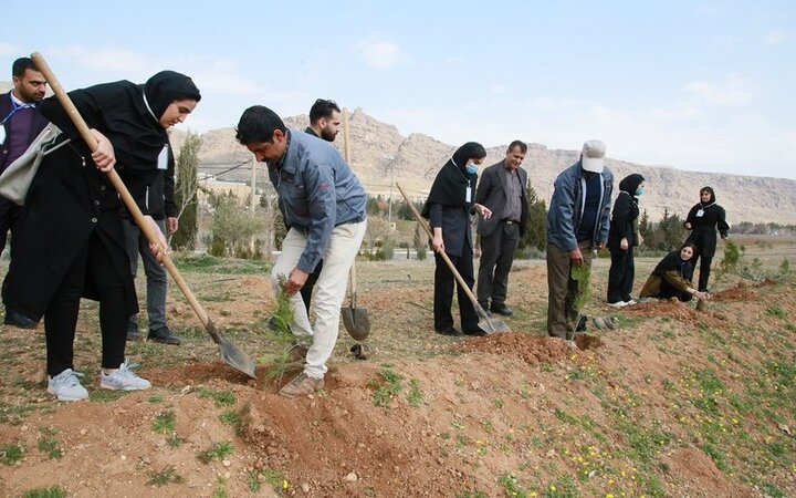 کاشت نهال در پارک گونه‌های بومی دانشگاه لرستان