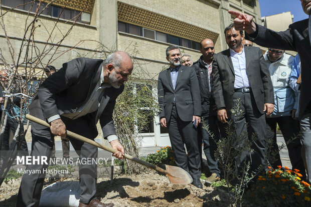 احمد وحیدی وزیر کشور به مناسبت روز درختکاری  در حال غرس نهال در حیاط وزارت کشور است