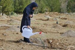 کاشت نهال در مجموعه بام خرم‌آباد