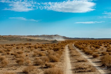 سرعت برنامه ها به شتاب گسترش بیابان ها می رسد؟