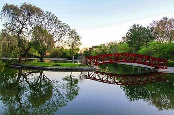 ۱۱۵ ارقام گیاهی و باغی جدید معرفی شد