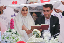 مراکز مشاوره ازدواج دانشجویی راه اندازی می شود