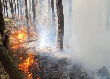 استمرار آتش سوزی‌ در جنگل‌های گالیکش/حضور بالگرد ضرورت دارد