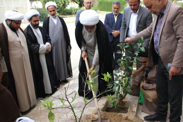 درختکاری تبدیل به فرهنگ شود/ لزوم توسعه فضای سبز در استان بوشهر درختکاری تبدیل به فرهنگ شود/ لزوم توسعه فضای سبز در استان بوشهر