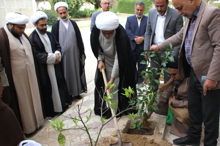 درخت‌کاری تبدیل به فرهنگ شود/ لزوم توسعه فضای سبز در استان بوشهر