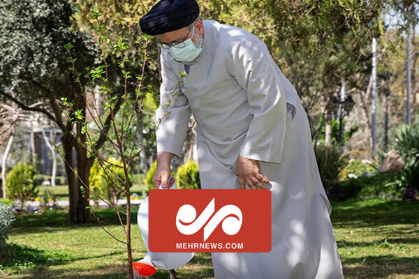 فیلم کاشت یک نهال توسط رئیس جمهور به مناسبت روز درختکاری فیلم کاشت یک نهال توسط رئیس جمهور به مناسبت روز درختکاری