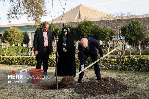 محمدباقر قالیباف رئیس مجلس شورای اسلامی صبح امروز دوشنبه ۱۵ اسفند همزمان با روز درختکاری یک اصله نهال مثمر در محوطه مجلس غرس کرد