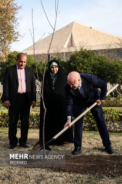 محمدباقر قالیباف رئیس مجلس شورای اسلامی صبح امروز دوشنبه ۱۵ اسفند همزمان با روز درختکاری یک اصله نهال مثمر در محوطه مجلس غرس کرد