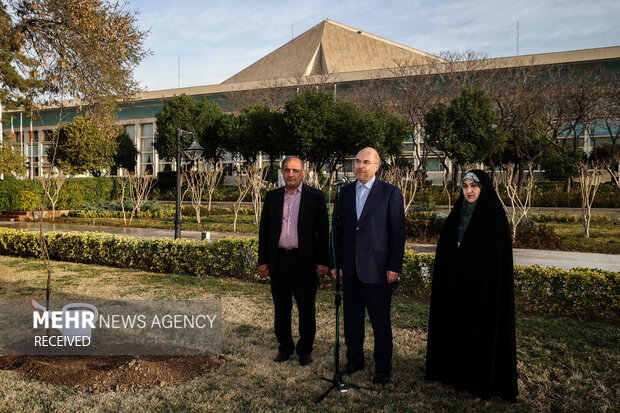 محمدباقر قالیباف رئیس مجلس شورای اسلامی صبح امروز دوشنبه ۱۵ اسفند همزمان با روز درختکاری یک اصله نهال مثمر در محوطه مجلس غرس کرد