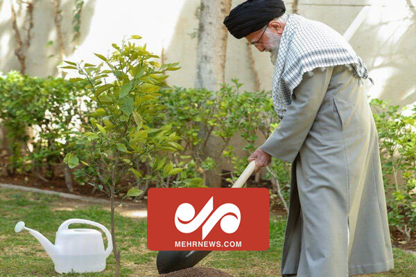 رهبر انقلاب  همزمان با روز درختکاری سه اصله نهال کاشتند رهبر انقلاب  همزمان با روز درختکاری سه اصله نهال کاشتند