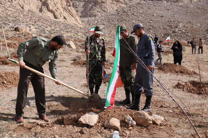 ۲۰۰ اصله نهال همزمان با روز درختکاری در کرمانشاه کاشته شد