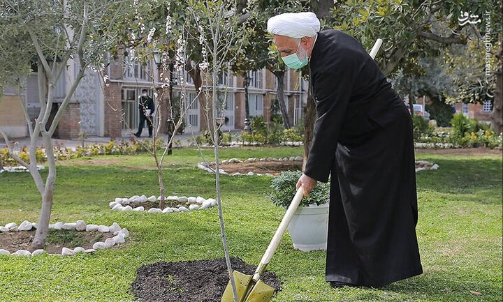 رئیس قوه قضائیه در اصفهان یک اصله نهال میوه غرس کرد 