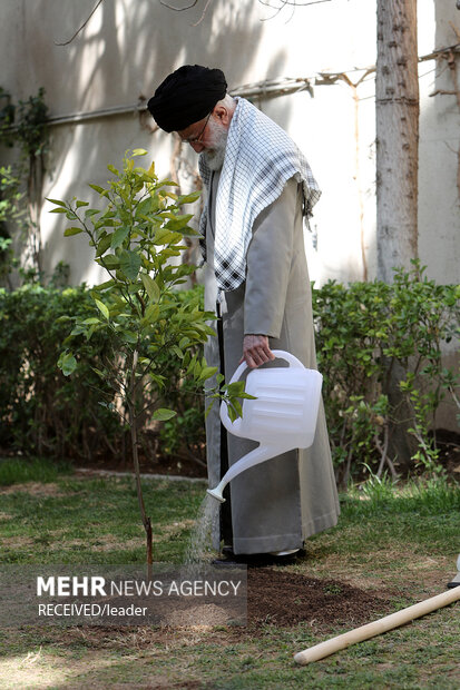 Leader plants samplings on National Arbor Day