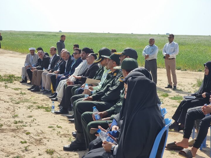 فرهنگ کاشت درخت در شهرستان گناوه نهادینه شود