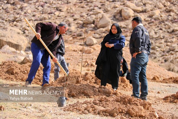 مراسم روز درختکاری در کرمانشاه