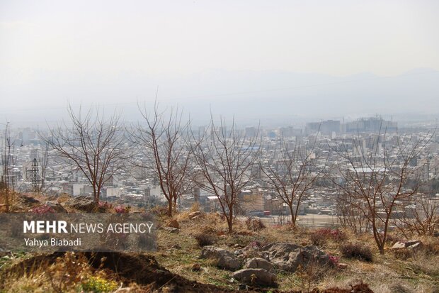 ضرورت ایجاد کمربند سبز در اهواز؛ حائلی برای حفظ طبیعت و کاهش آلودگی