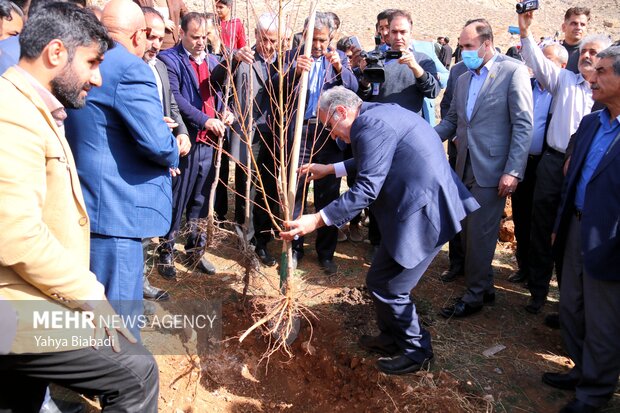 مراسم روز درختکاری در کرمانشاه