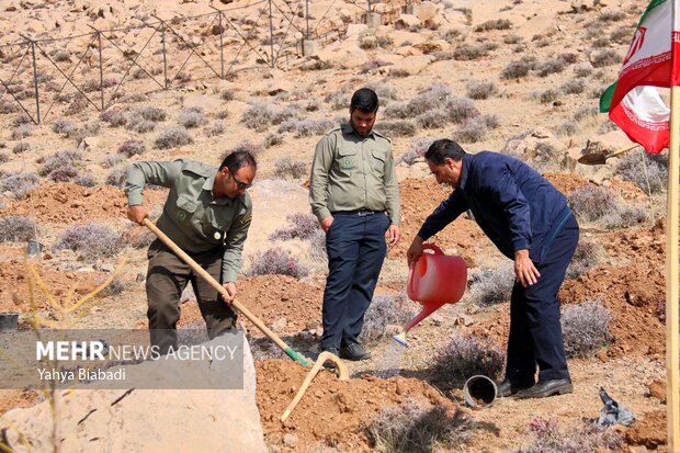 غرس ۱۲۰۰۰ اصله نهال در اسلام آبادغرب 