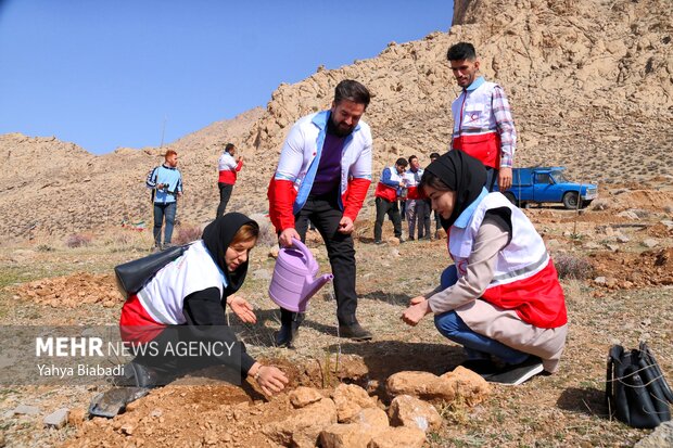 مراسم روز درختکاری در کرمانشاه